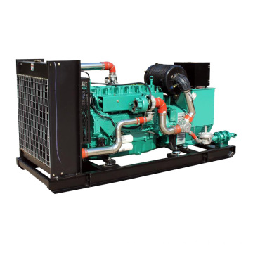 Hoher Qualität natürlicher Biogas -Gasgenerator Set Preis